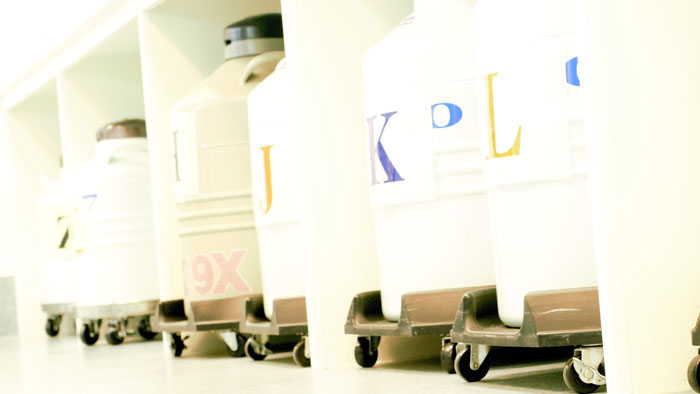 Cryopreservation